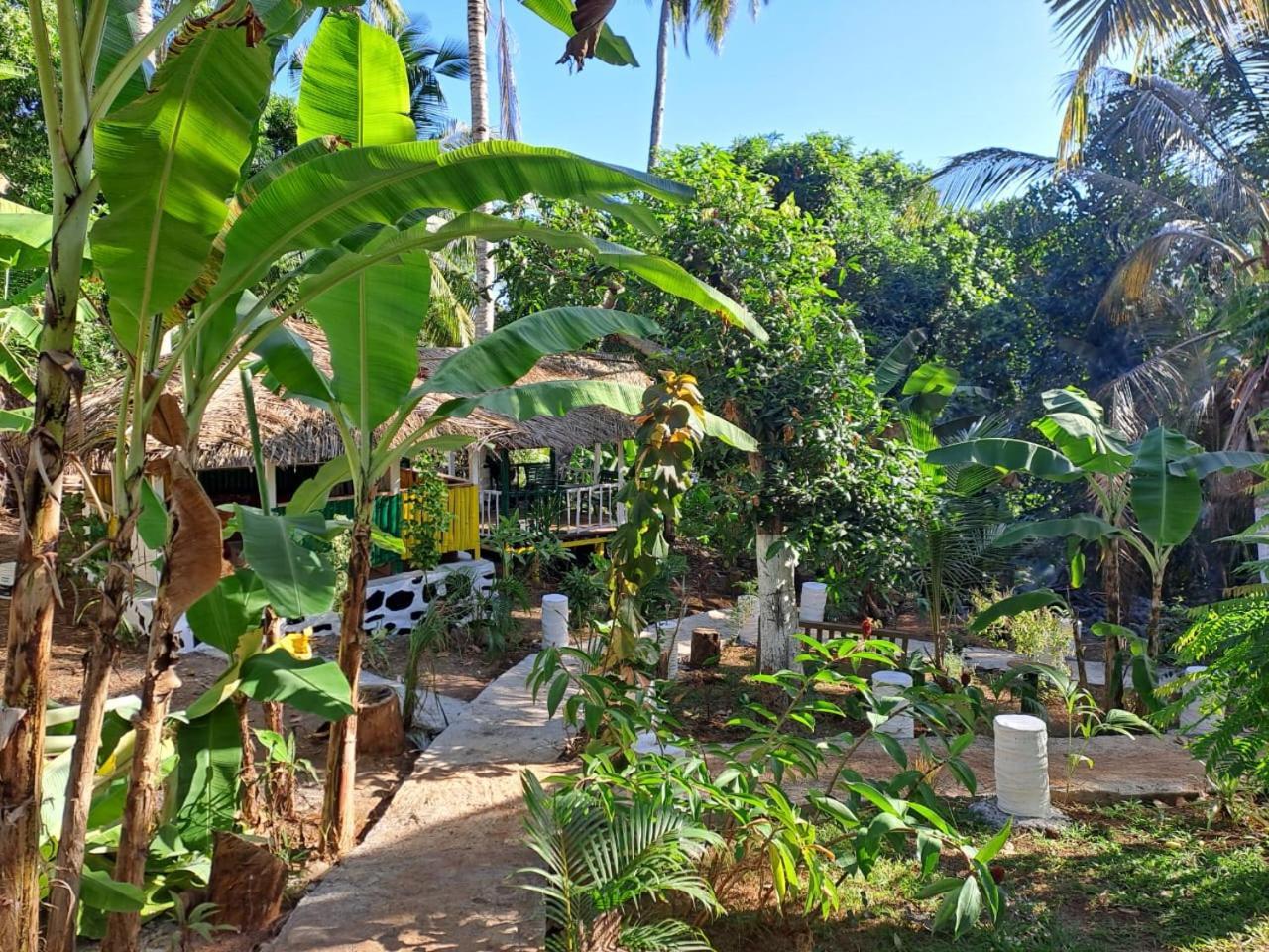 Le Chissioua Hotel Sada Ngoại thất bức ảnh